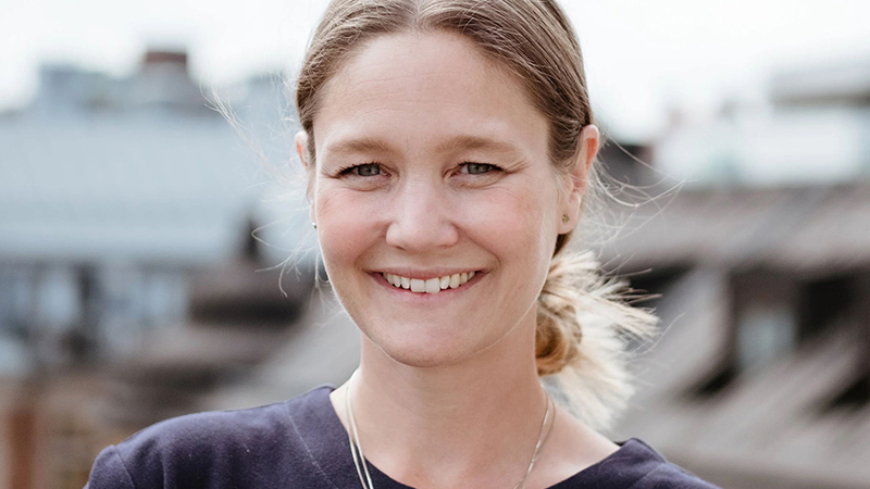 Stina de Hevesy, Scrive